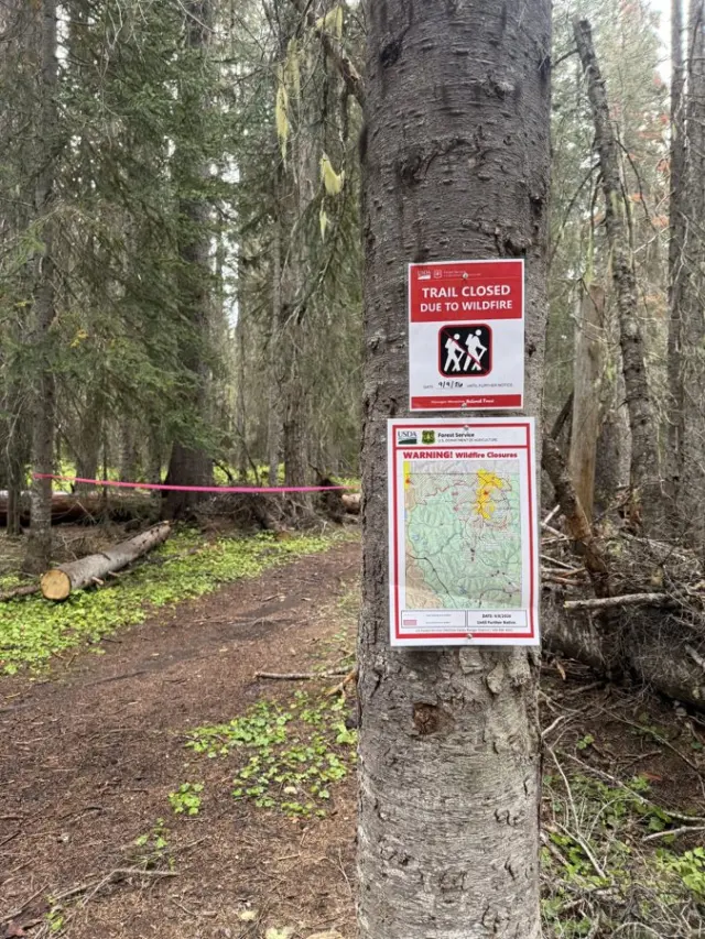 Twenty Miles from Canada: A PCT Finale Through Snow, Smoke and Rock Slides