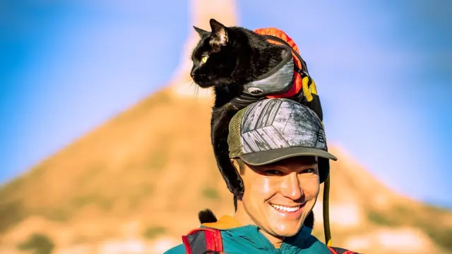 Backpacking Kitty: The Rescue Cat Taking On the Seven Summits (Base Camp Only)