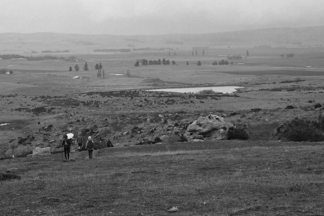 Walk1200km Microchallenge Winners Announced — And You Can Still Join the Challenge