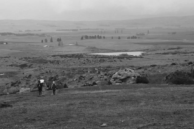 Walk1200km Microchallenge Winners Announced — And You Can Still Join the Challenge