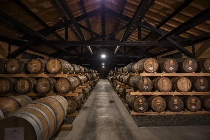 Japanese Whisky Aged on Yakushima Lands at Tokyu Hotels This November
