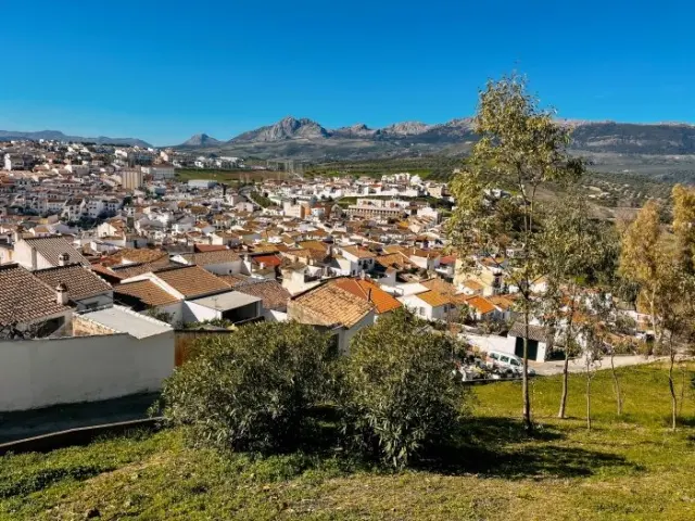 Celestyal adds 190 winter shore excursions across the Mediterranean — from Andalucian farm lunches to Istanbul food tours