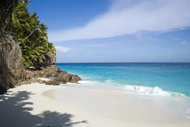 Fregate Island: the Seychelles private island where the tortoises outnumber the villas