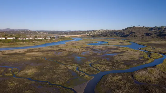 San Elijo Lagoon: The Wetland Reserve Between LA and San Diego Where 300 Bird Species Pass Through