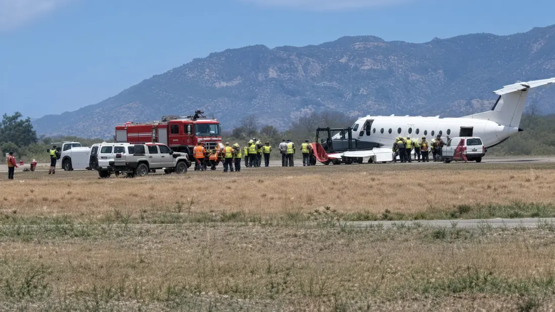 Zebra on the Runway: Safari Flight's Belly Landing After Serengeti Takeoff Strike
