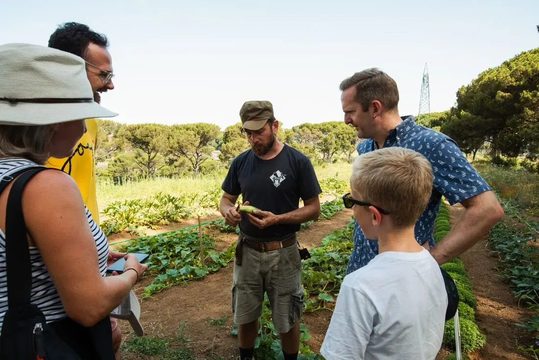 On Rome's edge, abandoned land became a thriving organic farm — and travellers get to eat from it