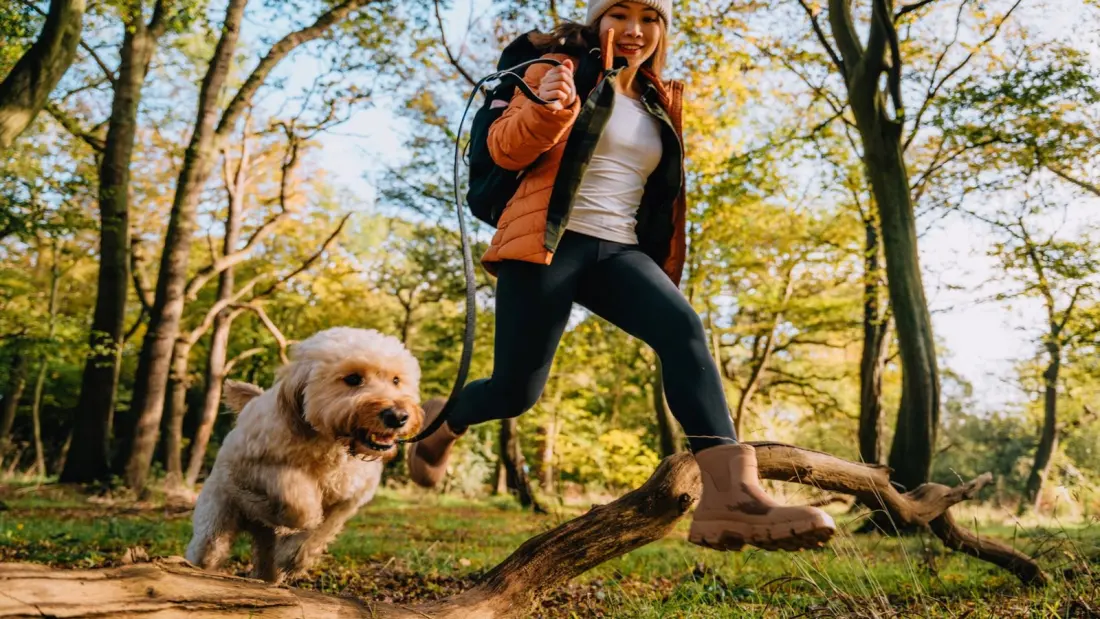 Plague Is Still Circulating in U.S. National Parks — What Hikers Should Know