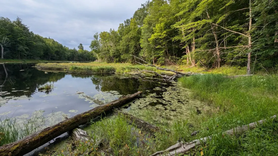 Flambeau River State Forest: Wisconsin's Quiet Riverside Escape for Paddlers and Campers