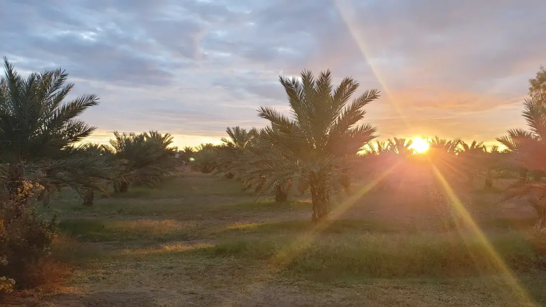 Somerton, Arizona: Yuma's Sunny, Budget-Friendly Neighbour With Tamales, Festivals and Cocopah Culture