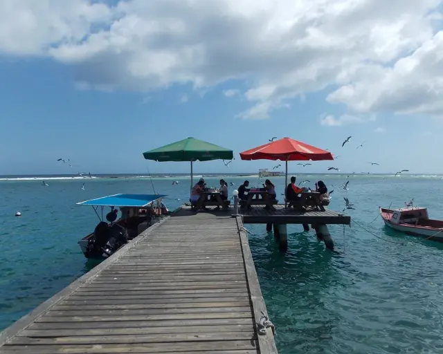 Zeerovers: The Aruban Seafood Shack Worth Queuing For