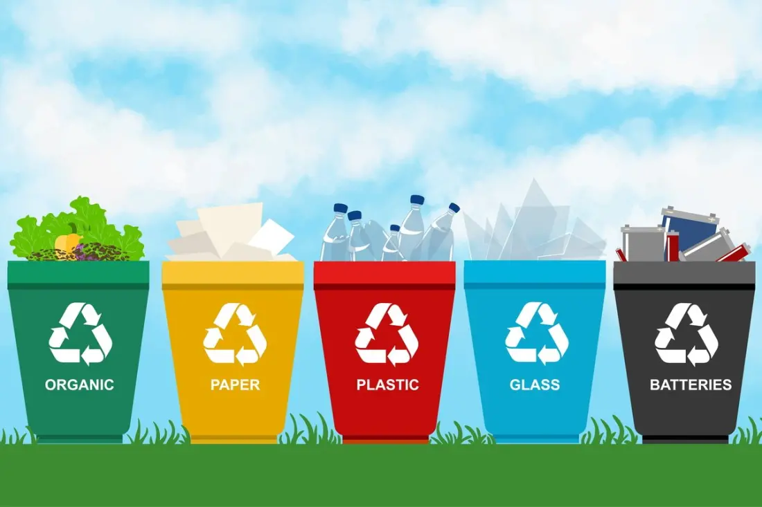 Rubbish Day in Mexico: How Waste Collection and Recycling Actually Work