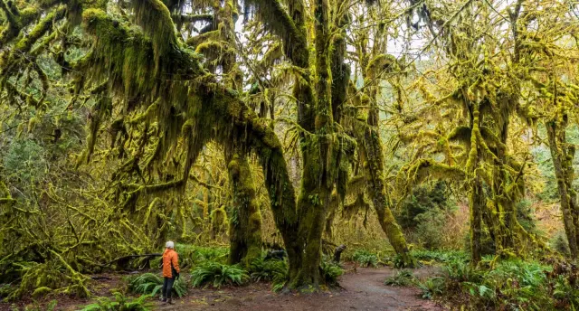 Washington State: one corner of the USA, four seasons of adventure