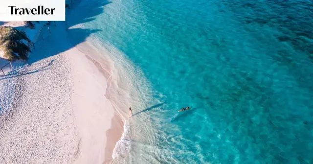 Ningaloo Reef is back and booming after Cyclone Narelle — and the timing couldn't be better
