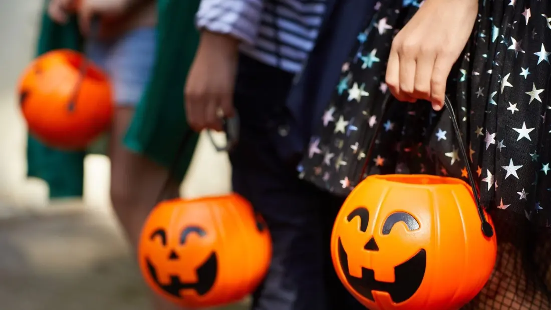Calgary's Hangar Flight Museum Turns Pumpkin Hunt for Halloween Weekend