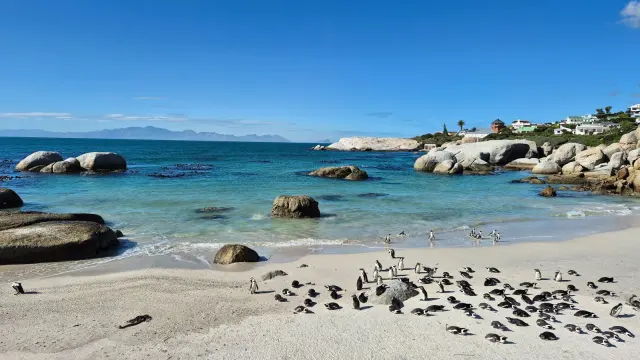 Cape Town pensioners can visit six top nature spots for about R17 a trip with the My Green Card