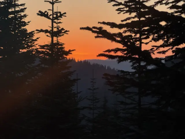 Wildfire Detours and Trail Magic: A Thru-Hiker's Final Stretch on the Pacific Crest Trail