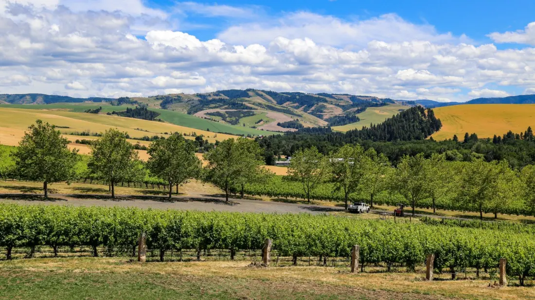 Walla Walla: Washington's Low-Key Answer to Napa, With Syrah and Craft Beer to Match