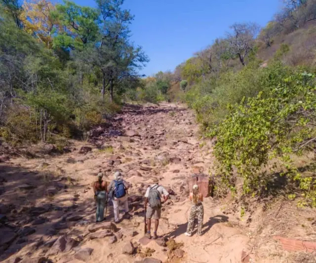 Zimbabwe's walking safaris: the trails were never built, they were walked
