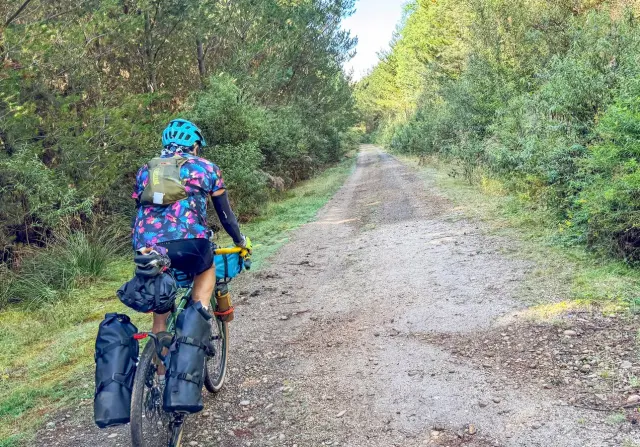 Seven days, 250km and a changed plan: bikepacking Tasmania the flexible way
