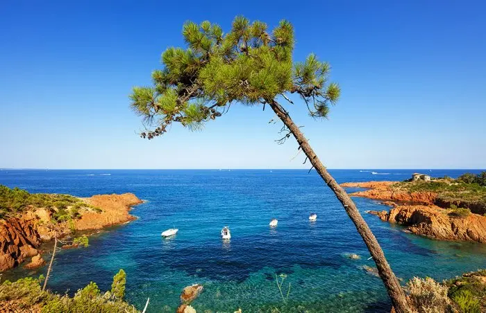 Simpson Travel buys South France Villas, expanding its southern France portfolio