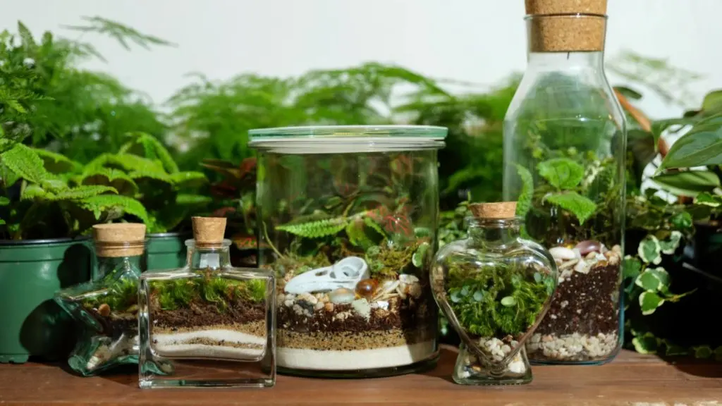 Naturecore Expo brings plants, flash tattoos and food trucks to Edmonton this October