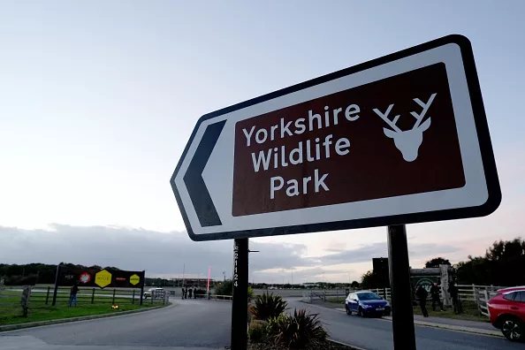 Tiger attack kills man at Yorkshire Wildlife Park as police investigate enclosure breach