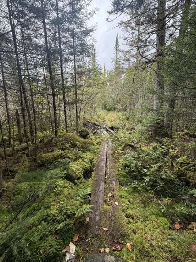 Nine Days in the Adirondacks: What Finishing the Northville-Placid Trail Actually Feels Like
