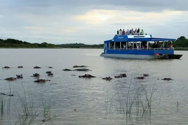 Skip the game drive: seven South African wildlife spots best seen from a boat