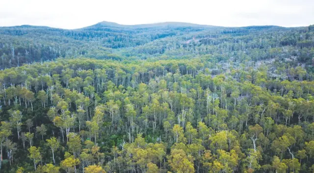 Four Australian Wild Places Under Pressure — From the Overland Track's Backyard to the Kimberley