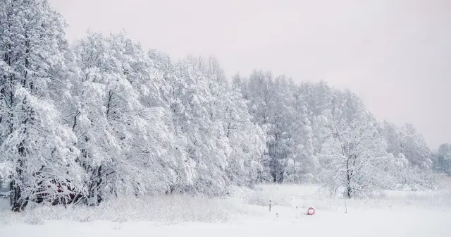 Winter War Finland: how a farmer-sniper and minus 40 degrees stalled a million-strong invasion