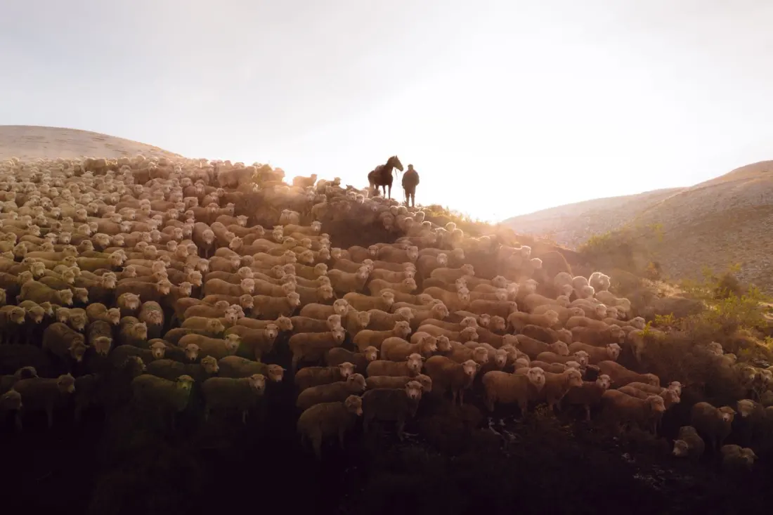 The Last Horsemen of Última Esperanza: Inside Pie Aerts' Portraits of Chile's Puesteros