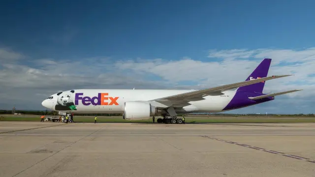 Ping Ping and Fu Shuang Touch Down in Atlanta After a 15-Hour Panda Express Flight