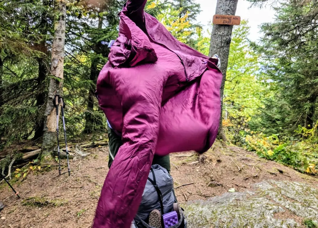 Bear Encounter and Storm Drama on Vermont's Long Trail: A Thru-Hike Diary