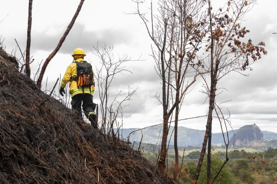 El Niño Is Officially Back in Colombia — What Travellers Should Know Before 2027