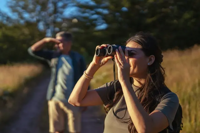 How to turn a UK holiday into your birdwatching origin story