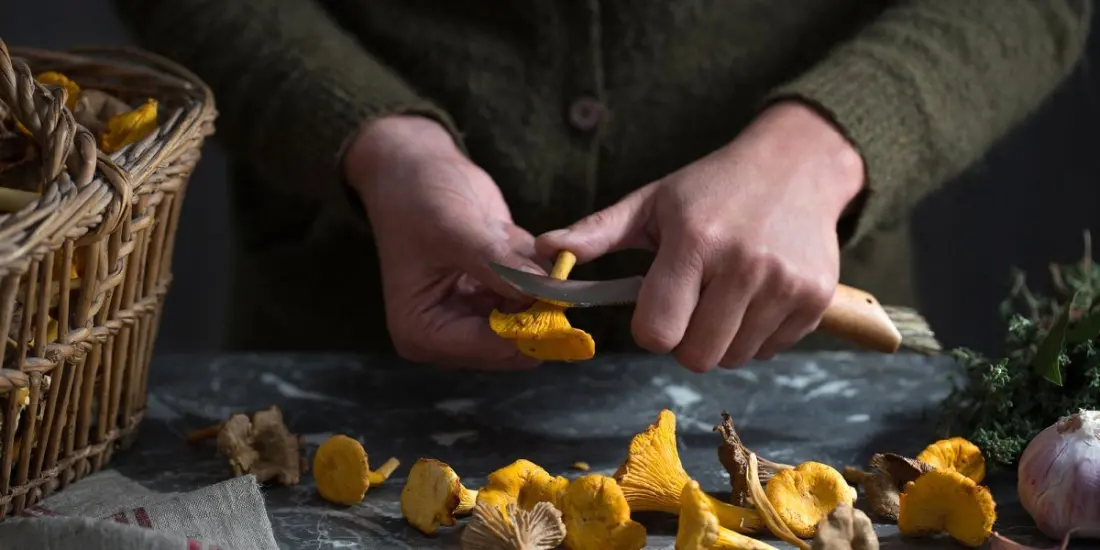 Chef Viet Pham's Starter Kit for Foraging, Straight from Hulu's Chefs Vs. Wild