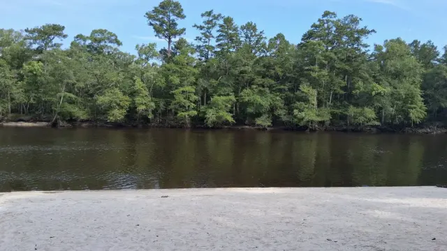 Givhans Ferry State Park: Charleston's Easy River Escape for Swimming, Tubing and Camping