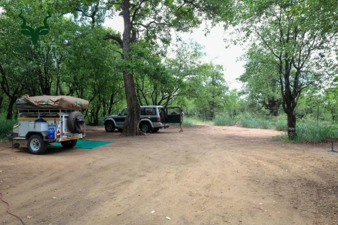 Kruger safari from R410 a night: seven budget campsites worth booking