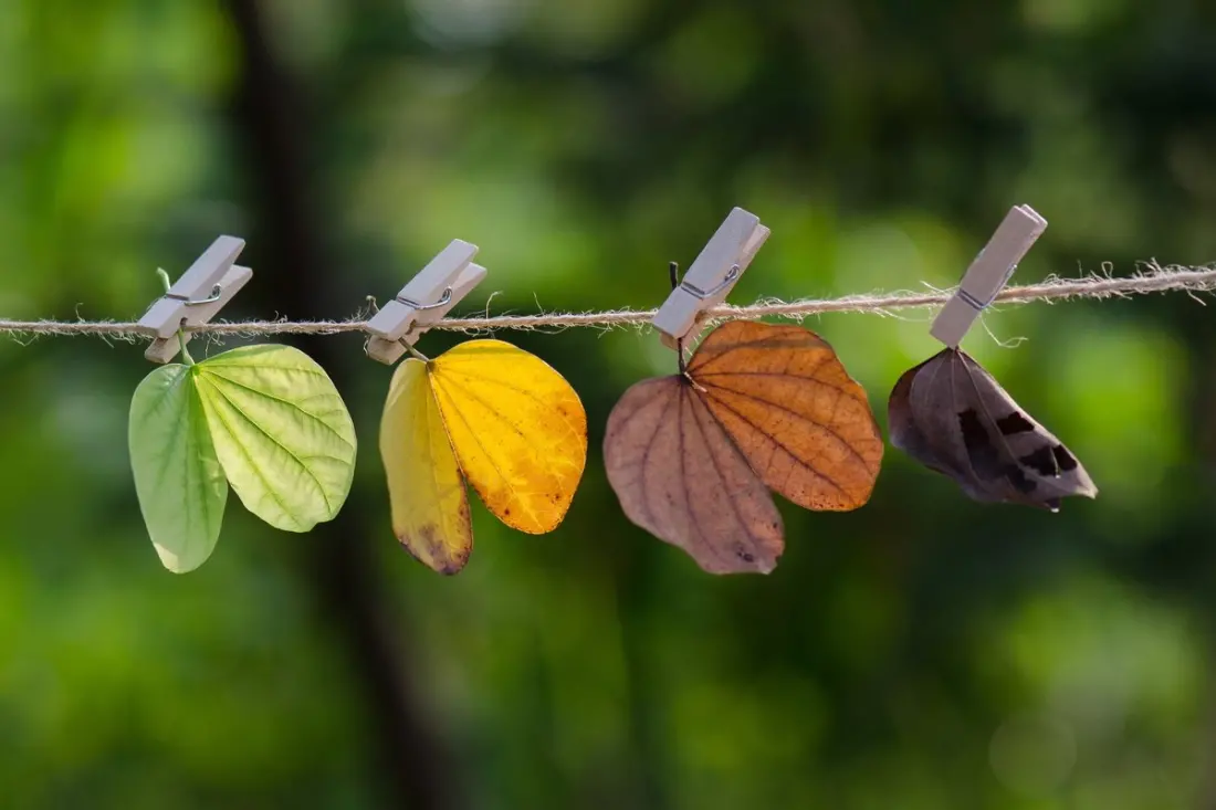 Dry Season in Mexico: What Long-Stay Travellers Should Know Before Spring