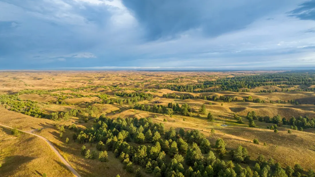 Nebraska National Forest: The Great Plains' Hand-Planted Wild Escape With 380 Miles of Trails