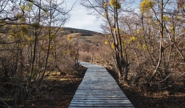 Torres del Paine's Easiest Hike Is Built From Nine Tonnes of Recycled Plastic
