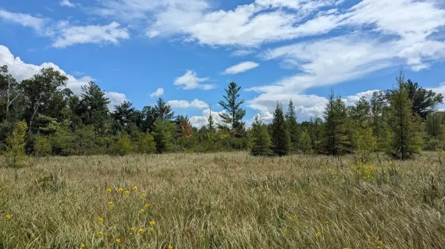 Navarino Wildlife Area: Wisconsin's 15,000-Acre Escape Under an Hour From Green Bay