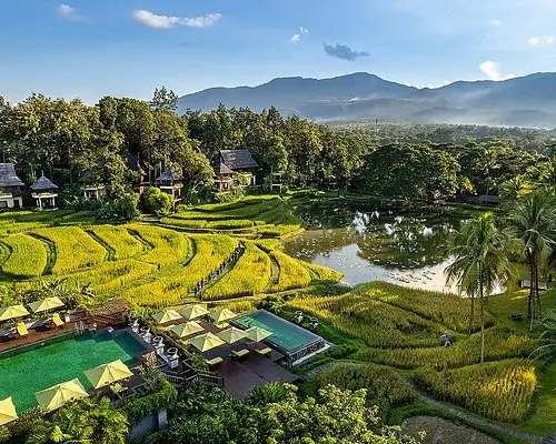 Four Seasons launches multi-stop curated itineraries across Japan, Thailand and Hawaii