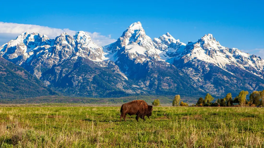 Wyoming Named America's Most Outdoorsy State for 2026 — Here's What Makes It Win