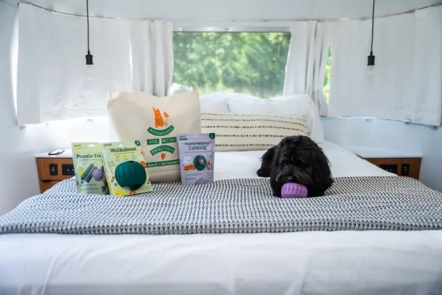 Woof x AutoCamp: Dog-Friendly Glamping With Waived Pet Fees at All Eight Properties