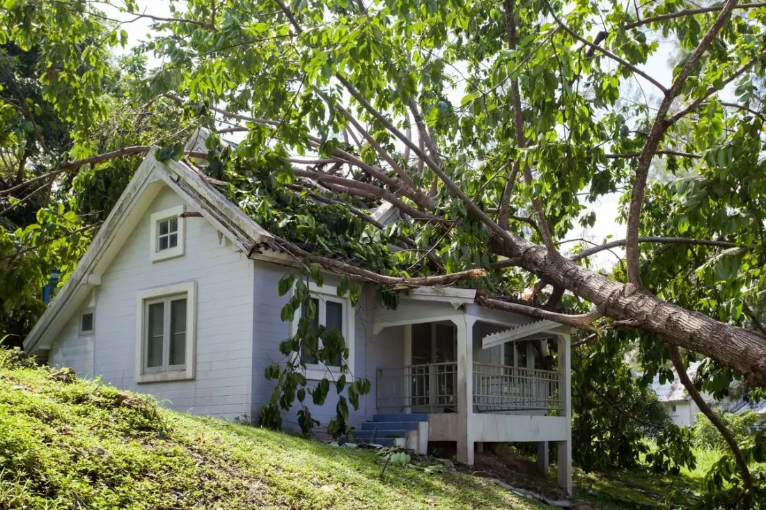 Why Your Mexican Home Could Be a Legal Trap Without Insurance