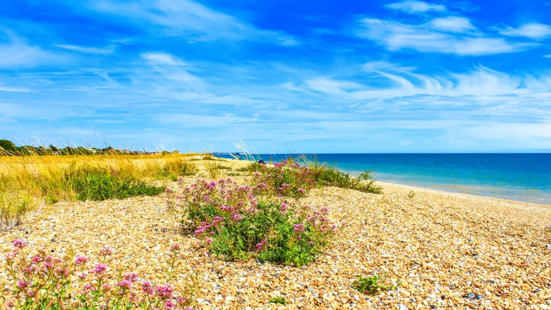 Walmer: Kent's Quiet Castle Town With Pebble Beaches and Prize-Winning Gardens