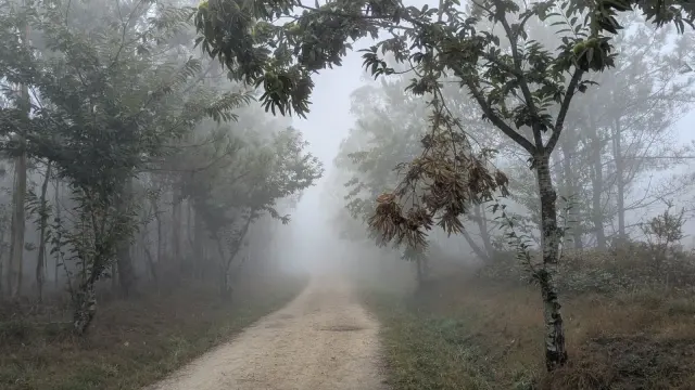 Rain, Roman Roads and Retirement Talk: Walking Spain's Camino Before the Crowds