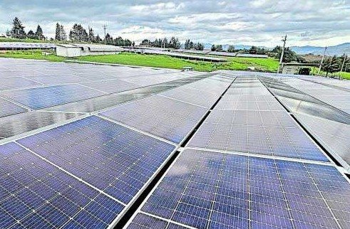 Ecuador swings into self-generation: tax breaks for power gear as blackouts and El Niño loom