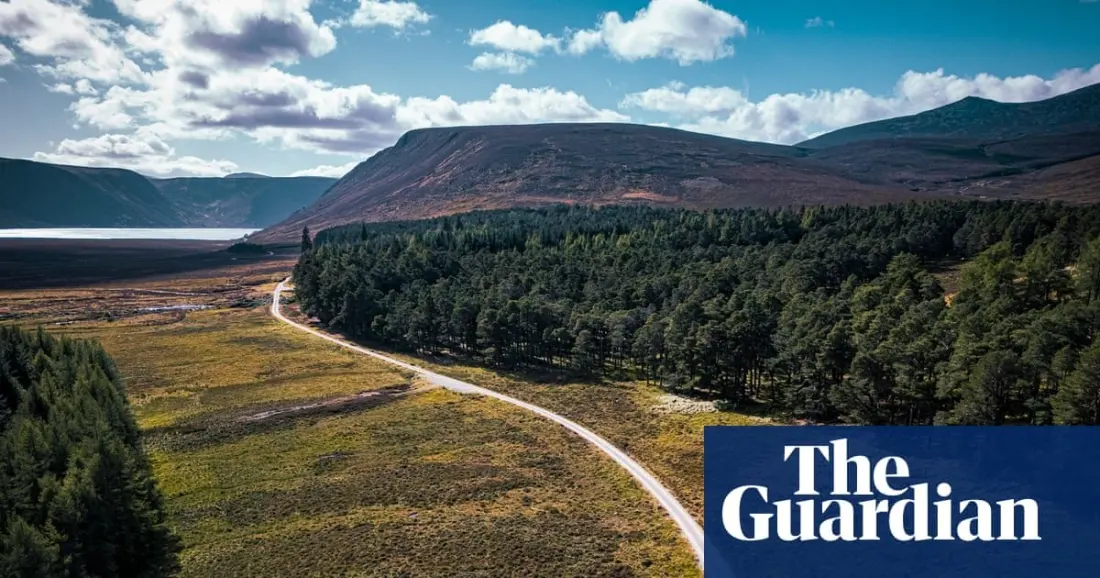 Bikepacking the Cairngorms after the fires: whisky roads, bothies and a landscape quietly recovering
